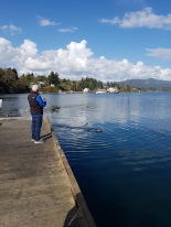 Sooke Harbour. Dad made friends with a seal