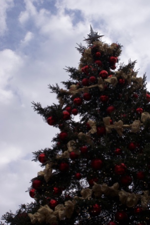 Oh Christmas Tree..